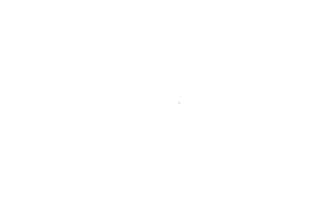 Logo partnera projektu